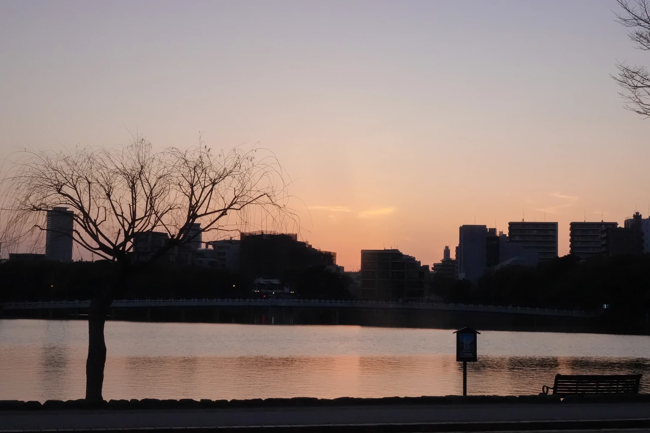 大濠公園大濠池池邊風景 1