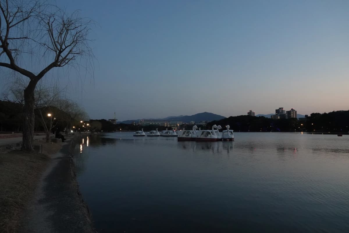 大濠公園大濠池池邊風景 3