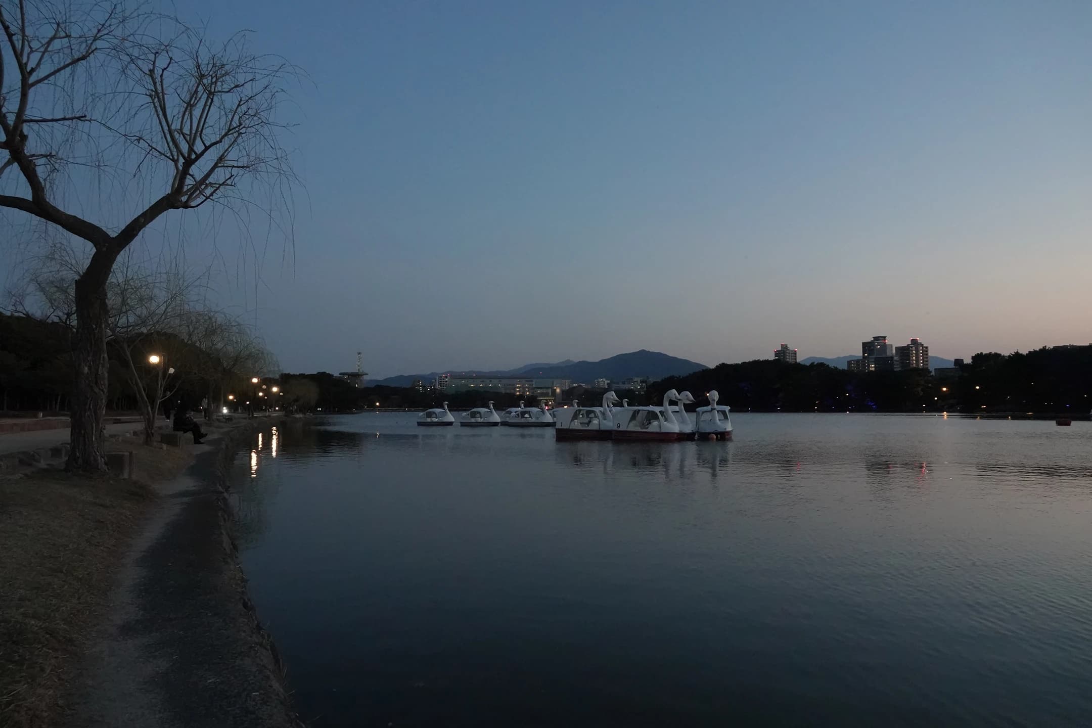 大濠公園大濠池池邊風景 3